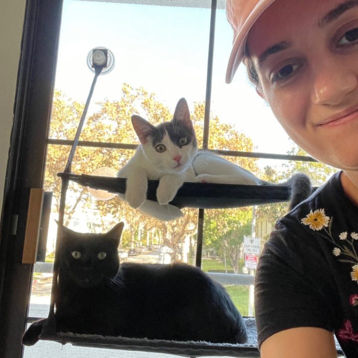 Lyndsay with two cats in a sunny window perch
