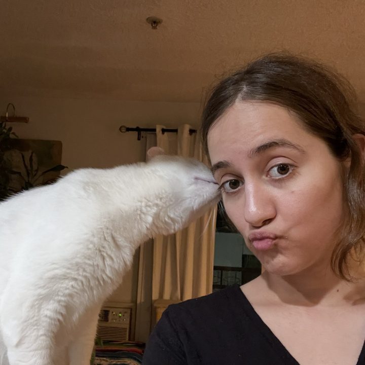 A white cat nuzzling Lyndsay